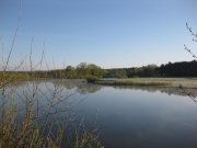 IMG_0685.jpg
