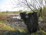 IMG_0686.jpg