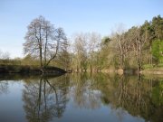 IMG_0689.jpg