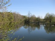 IMG_0693.jpg