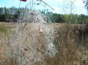DSCN4754.JPG