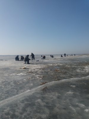 20170301_123344.jpg