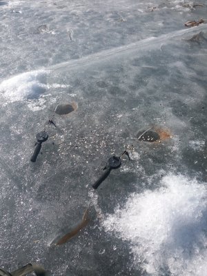 20170301_123354.jpg