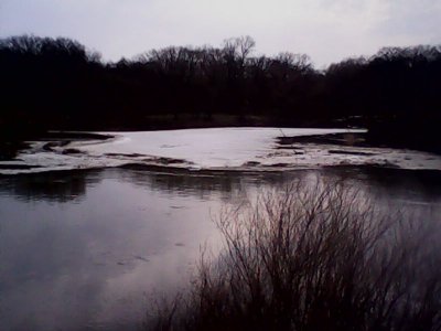 IMG0742A.jpg