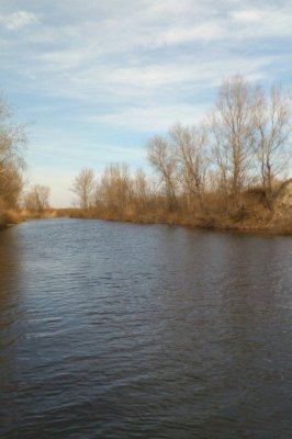 IMG_20170305_114442.jpg