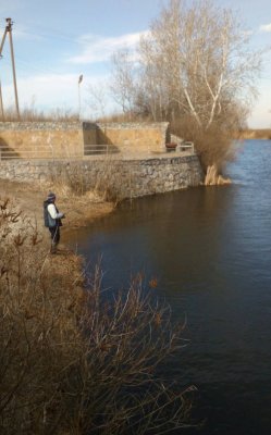 IMG_20170305_115929.jpg