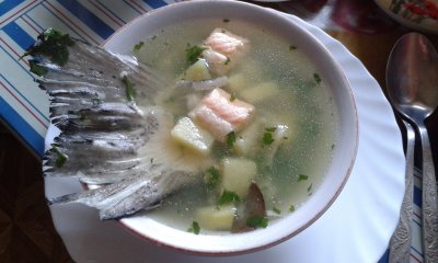 20170308_120013.jpg