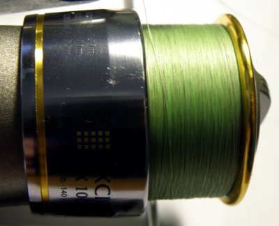 PE 4lb (8).JPG