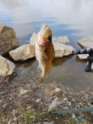 20170311_083754.jpg
