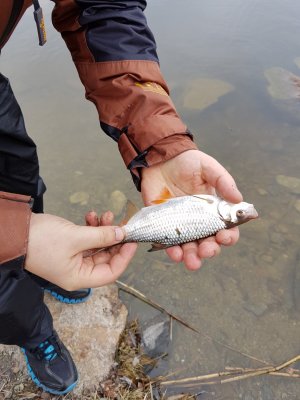 20170311_085633.jpg