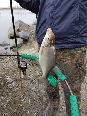 20170311_093139.jpg