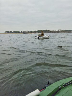 IMG_20170312_110002-01.jpeg