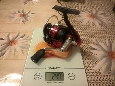 WP_20170308_20.jpg