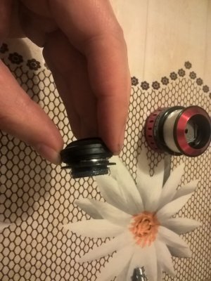 WP_20170308_25.jpg