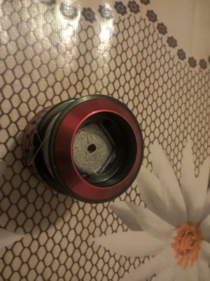 WP_20170308_26.jpg