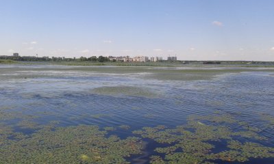 20150620_115127.jpg