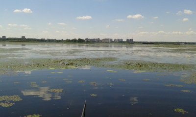 20150620_131629.jpg