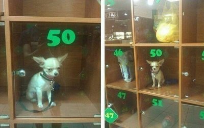 ghedd2.jpg