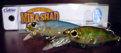 Cultiva Mira Shad.jpg