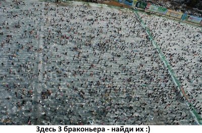 6zLu0xGsxC8.jpg