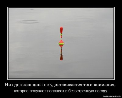 z9dw0rEgGhM.jpg