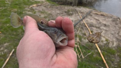 WP_20170326_12_19_34_Pro.jpg