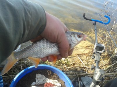 20170323_104543.jpg
