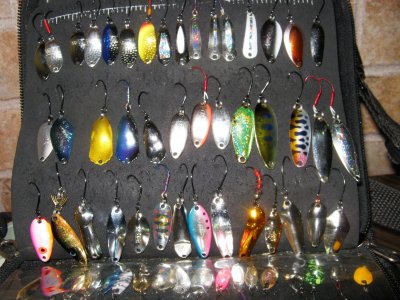 IMG_8852.JPG