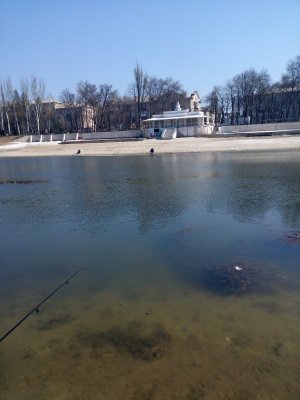IMG_20170404_110401.jpg