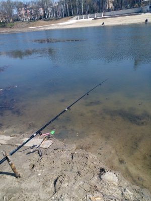 IMG_20170404_110409.jpg