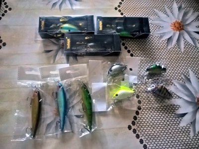 WP_20170405_09_19_54_Rich.jpg