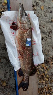 20161023_145448.jpg