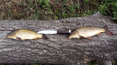 20160924_144515.jpg