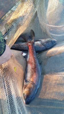 20161014_172923.jpg