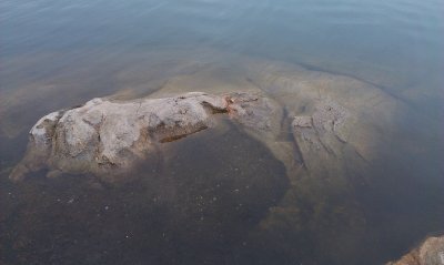 IMAG0013.jpg