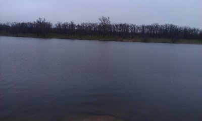 IMAG0015.jpg