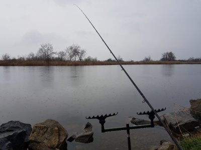 20170409_071332.jpg