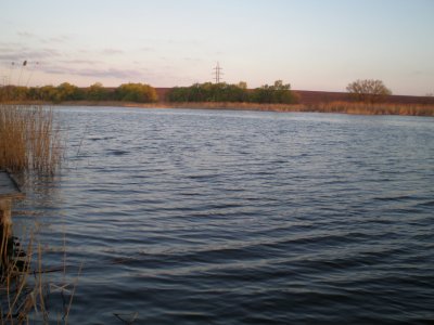 P4153671.JPG