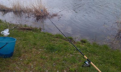 IMAG0014.jpg