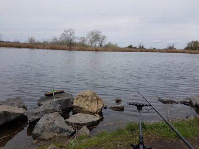 20170417_113253.jpg