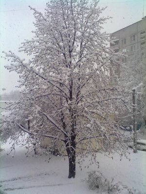 190420172747[1].jpg