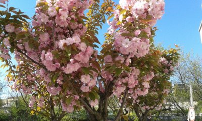 20170424_094133.jpg