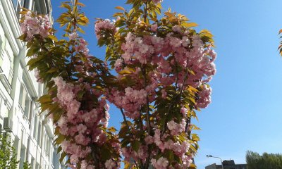 20170424_094201.jpg