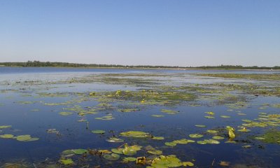 20140906_132951.jpg