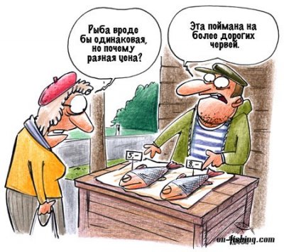 77_1272258418_1272180855_karikatura-9.jpg
