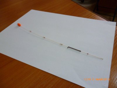 P1000842.JPG