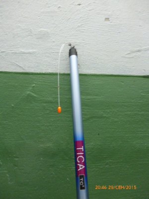P1000765.JPG