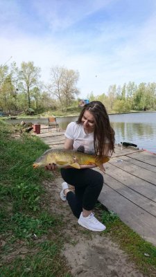 IMG_7871.JPG