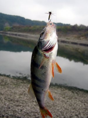 IMG_7446.jpg