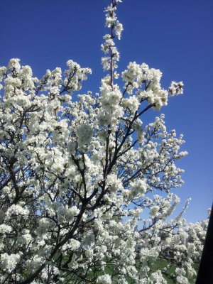 DSC_0047.JPG